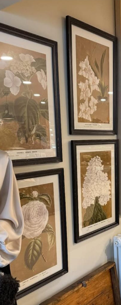 Black framed floral prints 4 styles