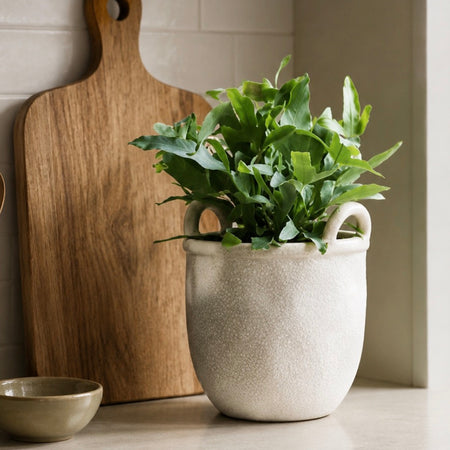 Ravello large plant pot with handles