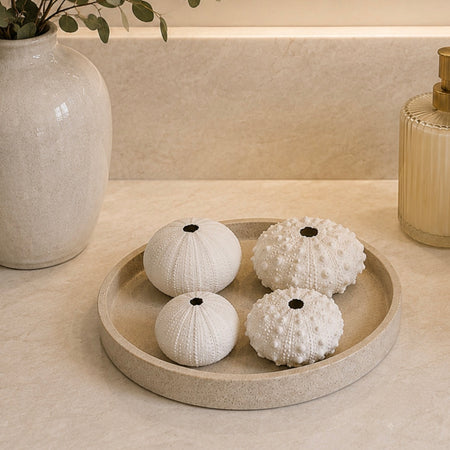 Mixed style barnacle sea urchins 4 styles