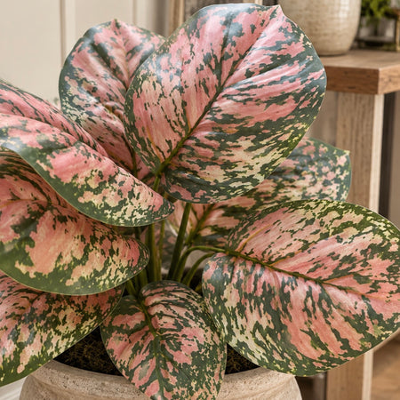 Pink faux plant pick