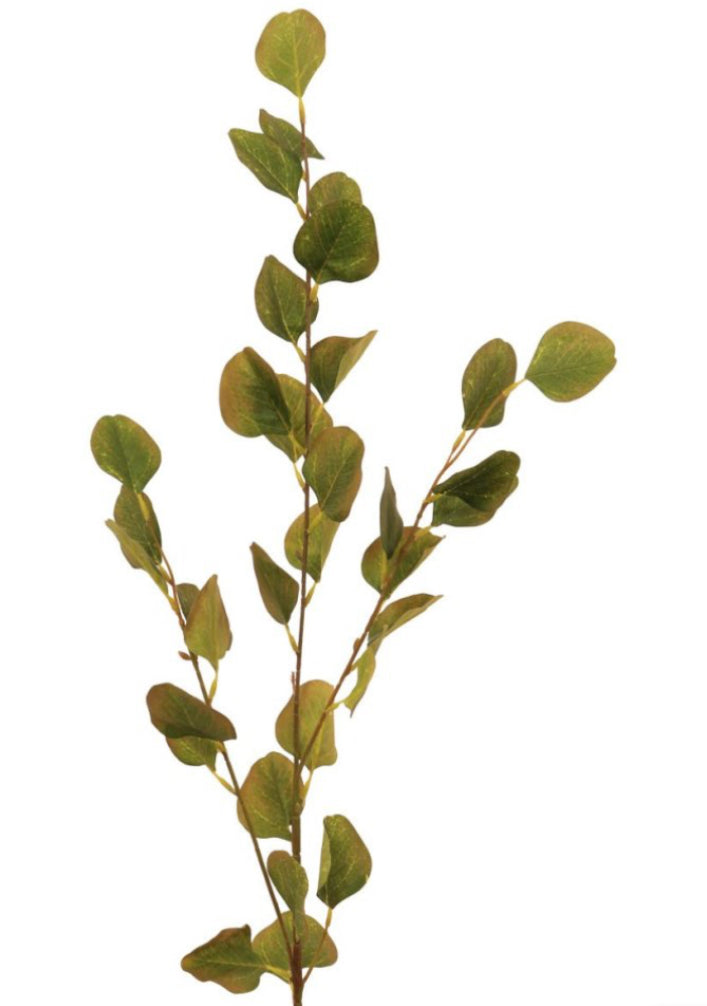 Single stem natural green & Brown dollar eucalyptus 72cm