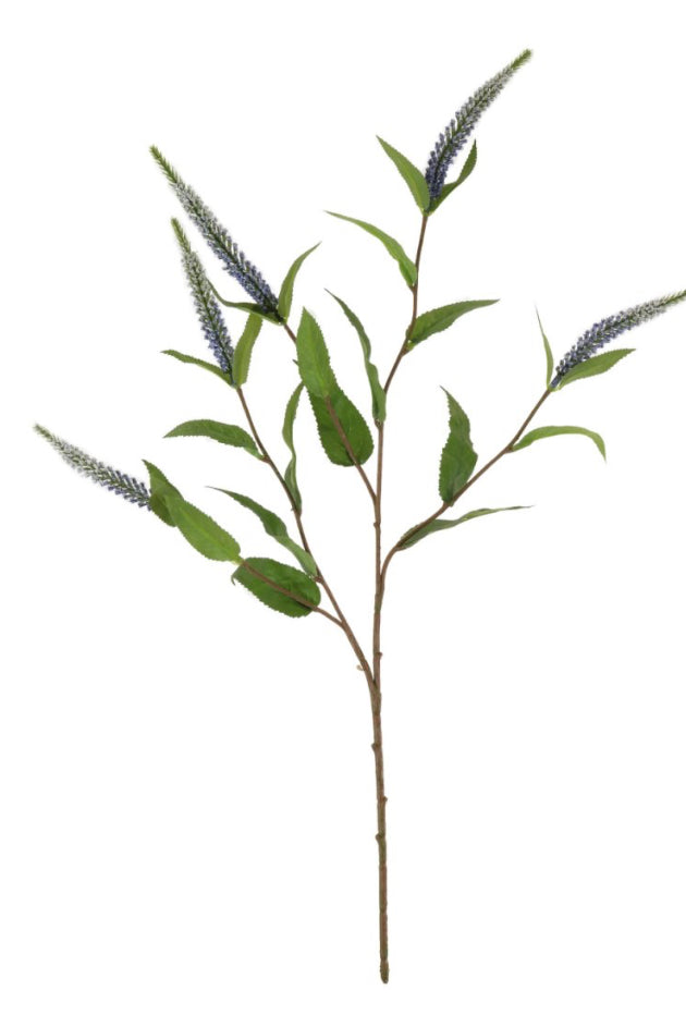 Lilac Veronica Multi Stem 70cm