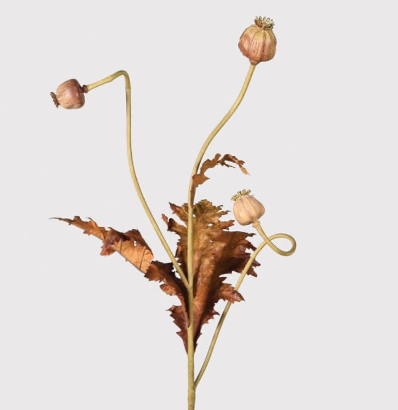 Brown poppy leaf stem 85cm