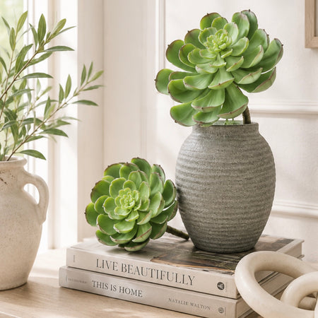 Afterglow succulent stem pick 10cm