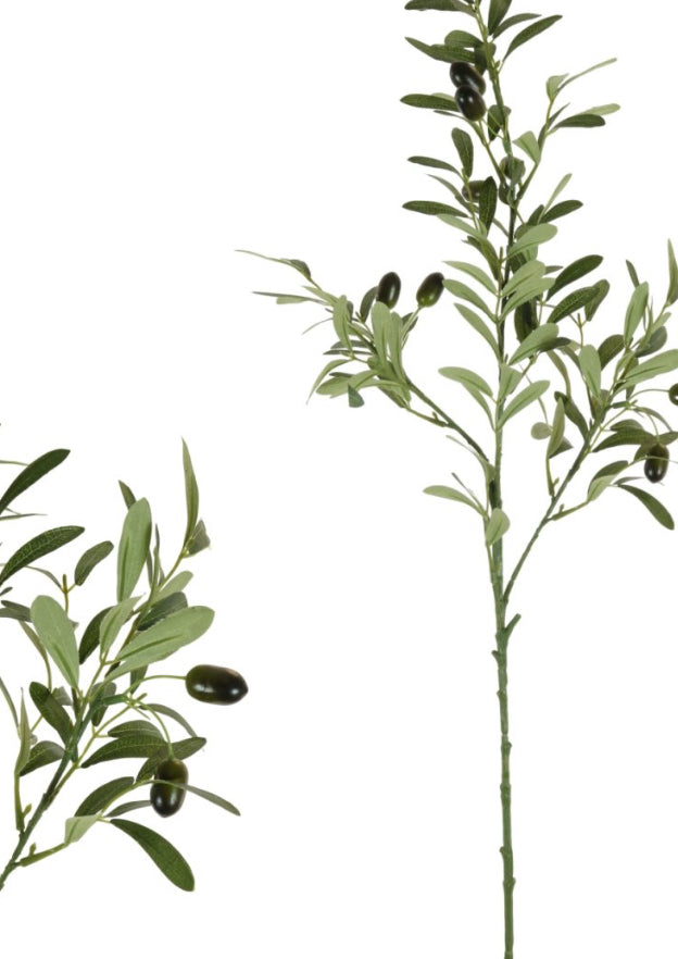 Olive Branch Stem 85cm