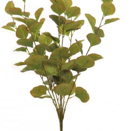 Dollar eucalyptus bunch autumn green brown tones multi stem 55cm