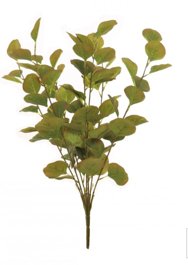 Dollar eucalyptus bunch autumn green brown tones multi stem 55cm