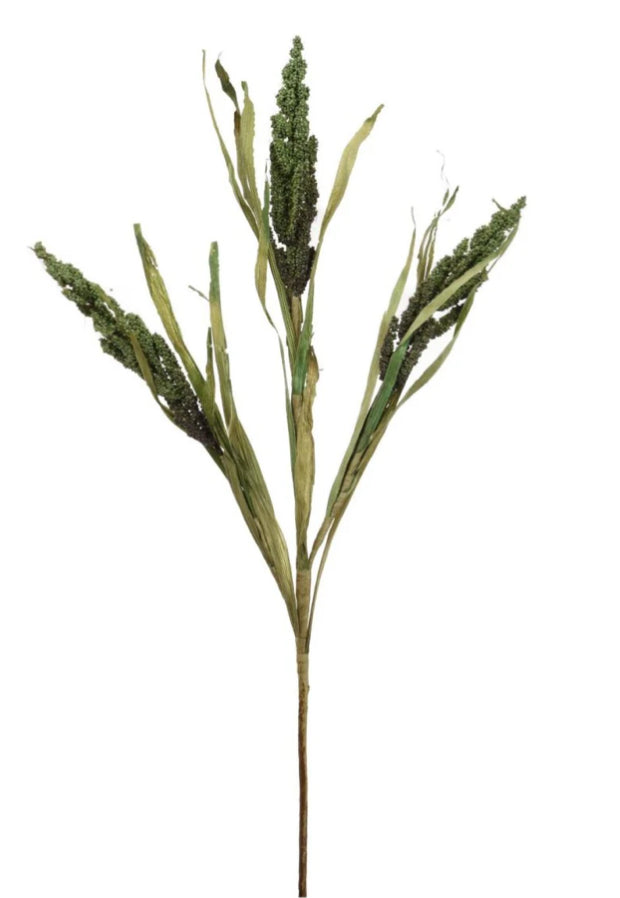 Dried Wheatgrass reed stem bunch green 65cm