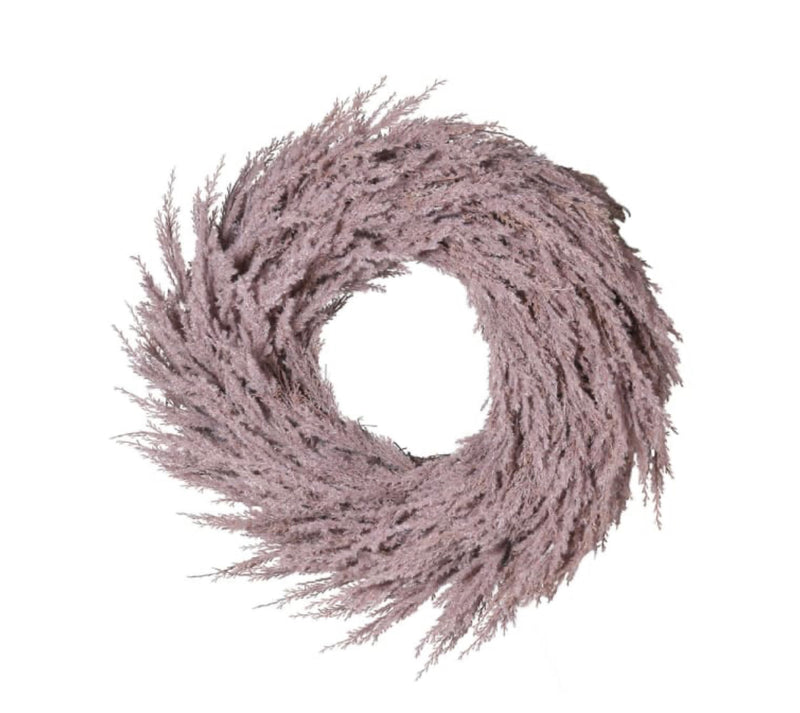 Flocked pampas wreath 55cm