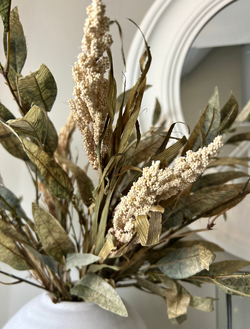 Dried Reed Wheat seeded Oyster blush Spray