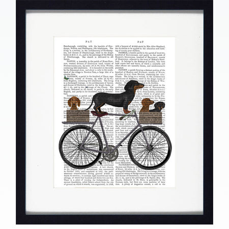 Dogs on tandem bike 34x30cm