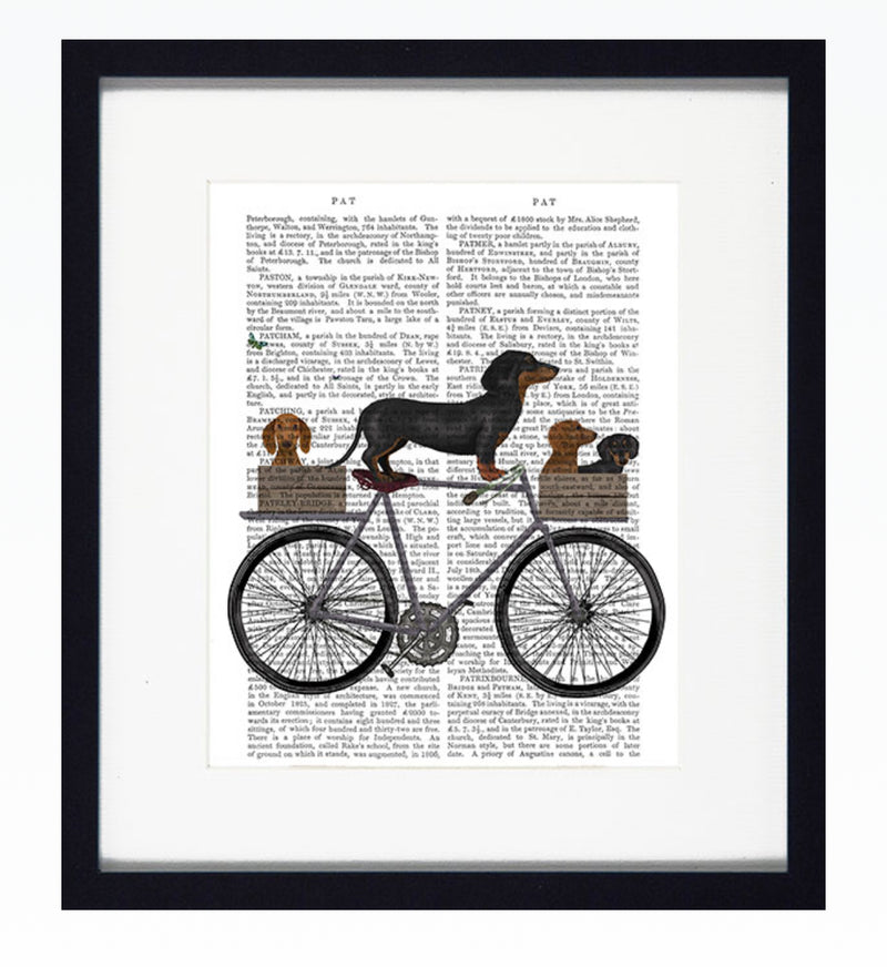Dogs on tandem bike 34x30cm
