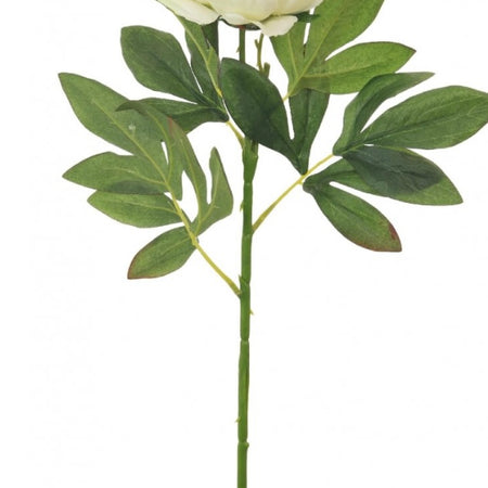 Cream Off White leafy Peony Stem