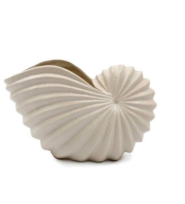 White Conch Shell Planter Pot