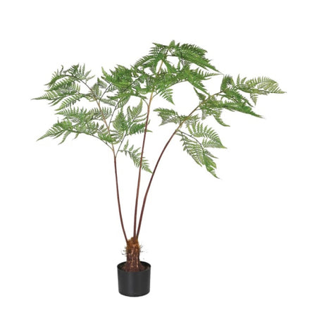 Sword fern tall plant tree in black pot 145cm