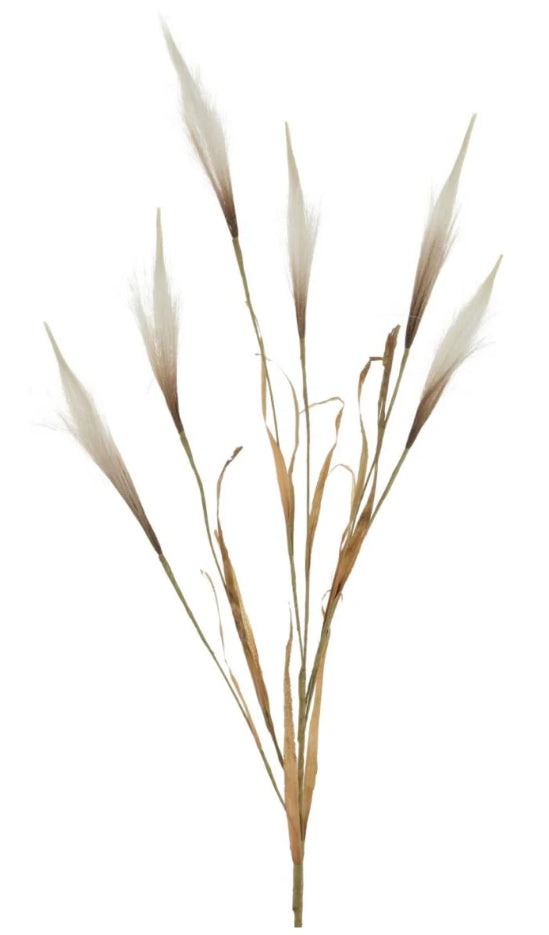Tall Pampas reed spray 100cm
