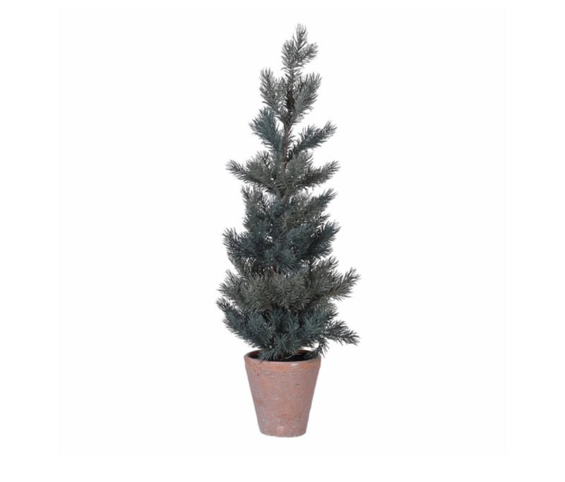 Tall 70cm potted terracotta pine tree