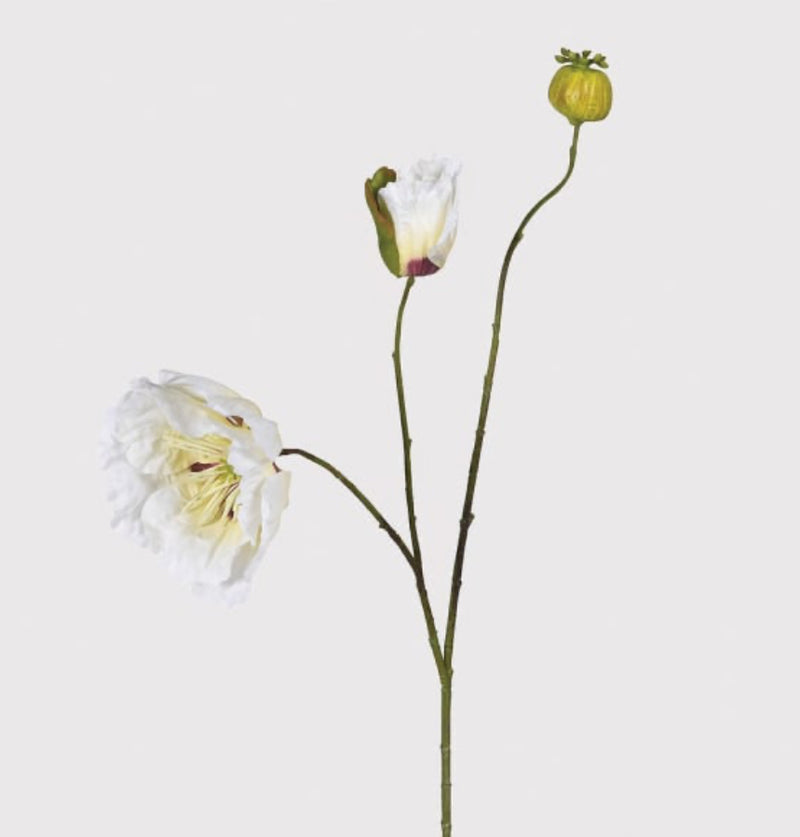 White multi stem poppy bunch 57cm