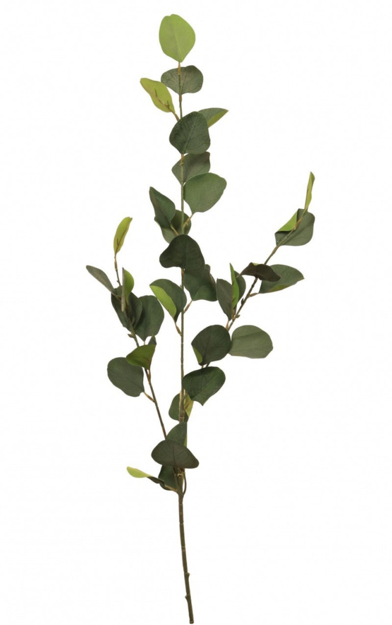 Single stem natural green dollar eucalyptus 72cm
