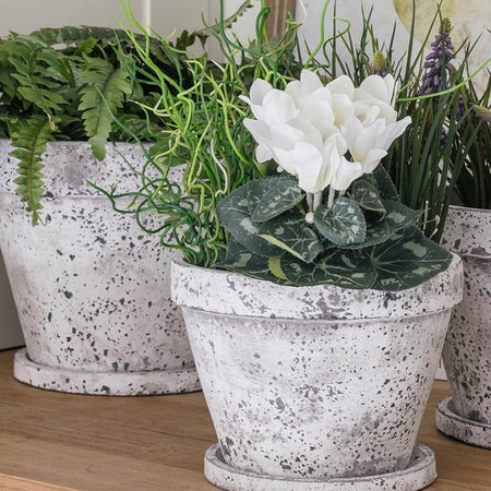 Aged Stone Plant Pots With Plate 2 Sizes