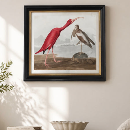 Black and Gold Framed Bird Prints 3 styles