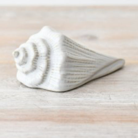 White ceramic shell 2 sizes