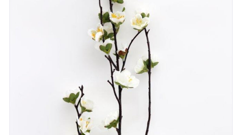 Dark stem white cherry blossom spray 80cm