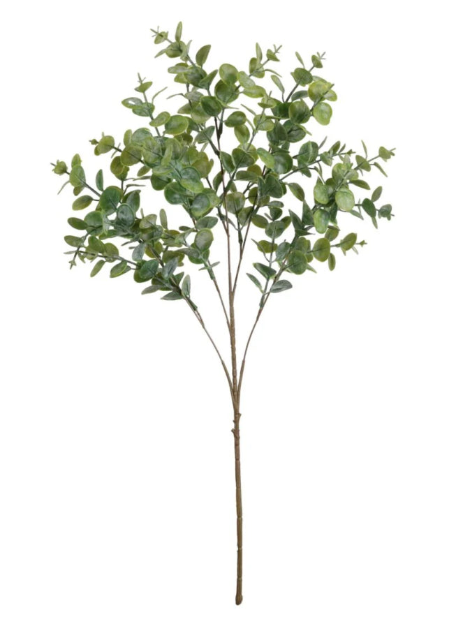 Gum drop button leaf stem multi bunch eucalyptus 69cm