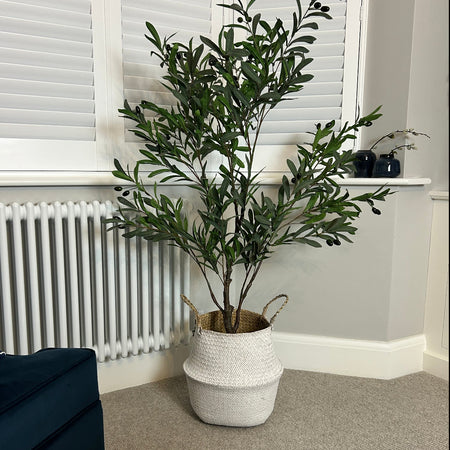 Realistic Tall Olive Tree 150cm