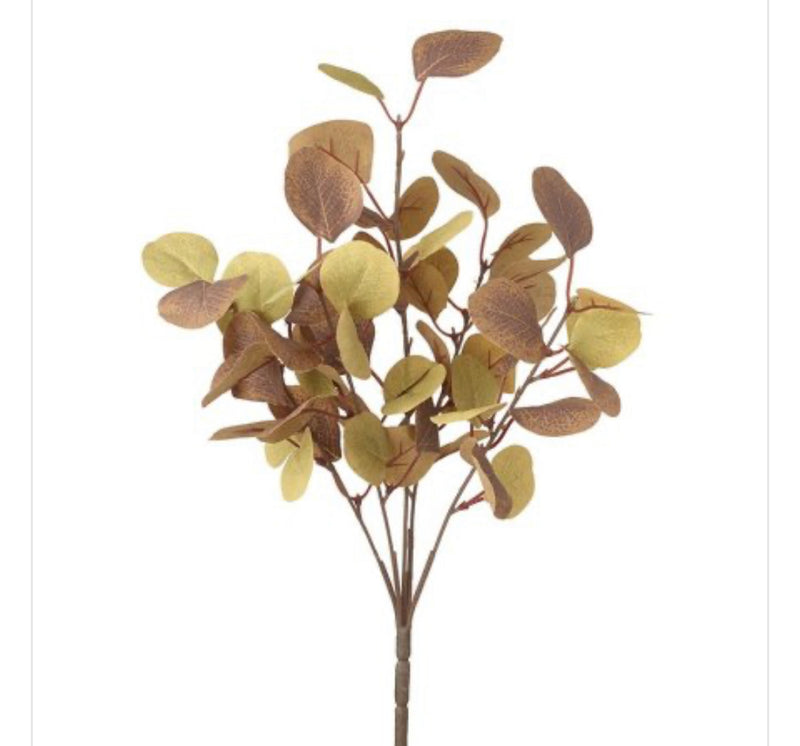 Autumn rust green eucalyptus bunch