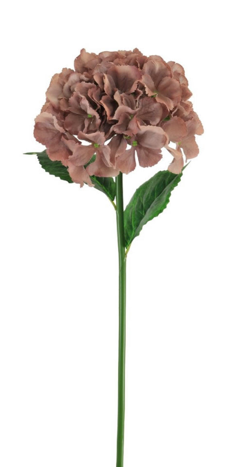 Vintage Mauve Ruffle French Hydrangea
