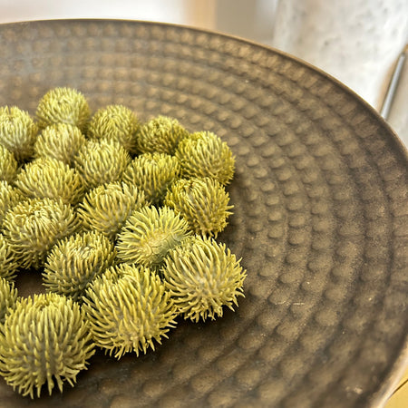 Bag of 24 Echinops Balls