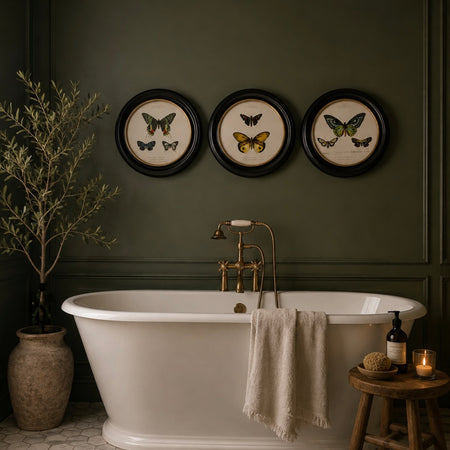 Black gold round glazed framed butterfly print picture art 3 styles