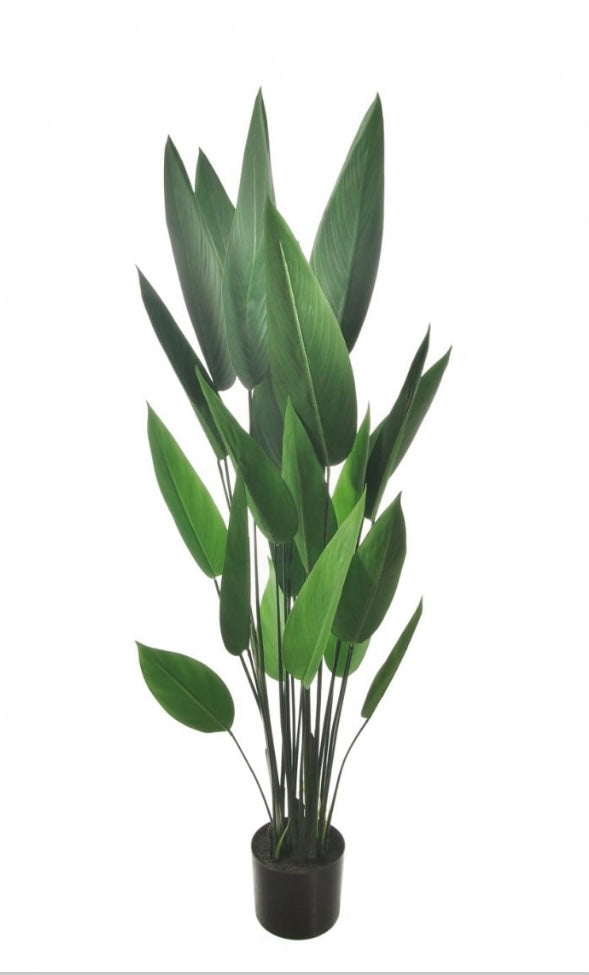 Tall Potted Palm Tree Plant 125cm Tall