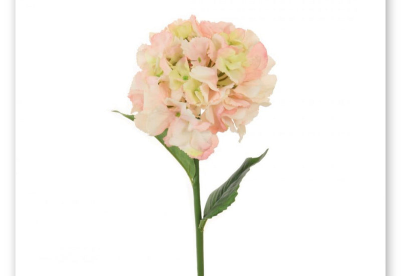 Oyster blush Ruffled Hydrangea Stem