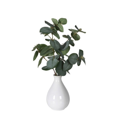 White vase with eucalyptus