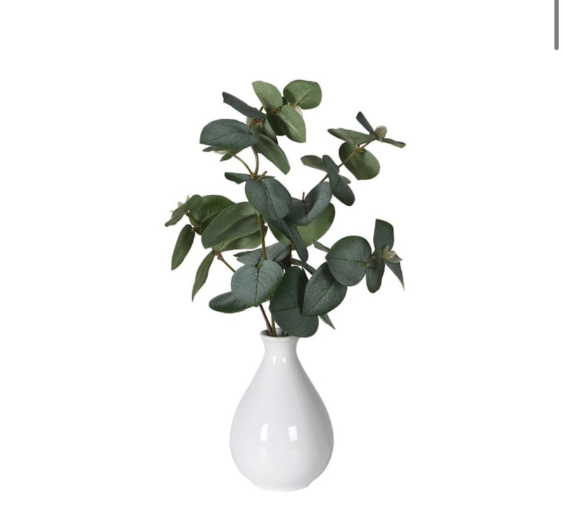 White vase with eucalyptus