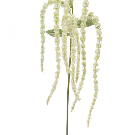 Tall amaranthus trailing stem bunch 115cm white