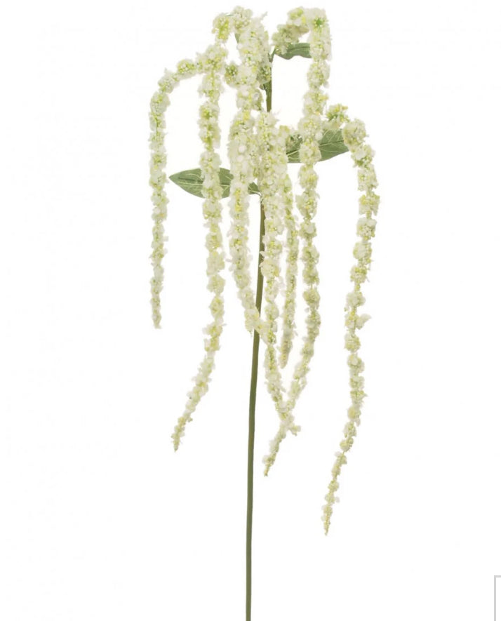 Tall amaranthus trailing stem bunch 115cm white