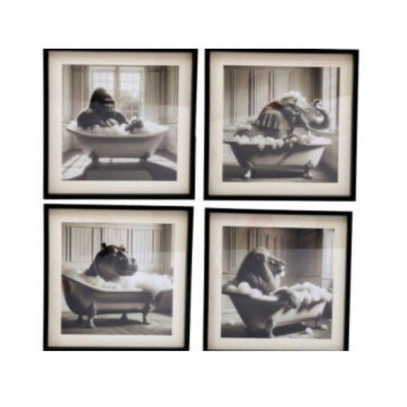 Square Bathroom Black Framed Animal Prints 40x40cm 4 styles