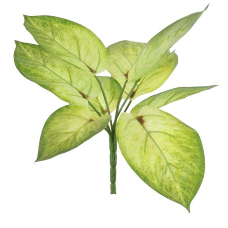 Variegated Printed Pothos Leaf Bunch pick plant