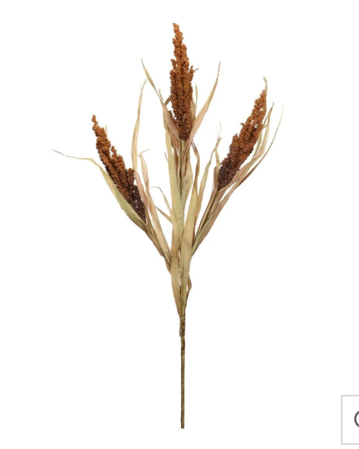 Dried wheat grass bunch stem 65cm