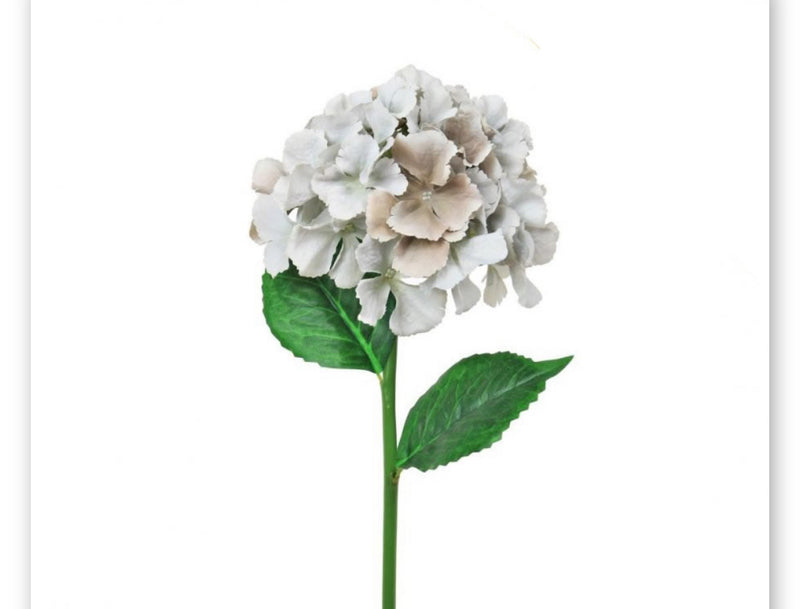 Store Seconds Taupe Grey French hydrangeas stem 56cm