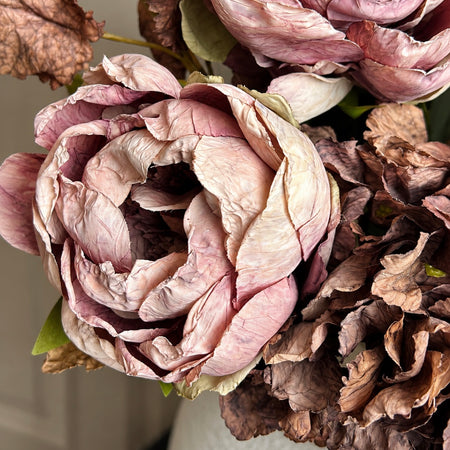 Dried real feel mocha mauve peony 48cm