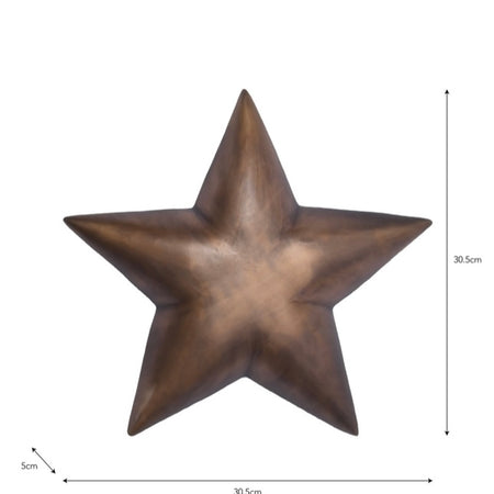 Medium brass pewter Wall Hung Star