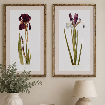 Iris floral mounted framed print 2 styles 70x40cm