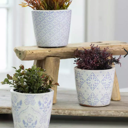 Mini Succulents, 3 Styles