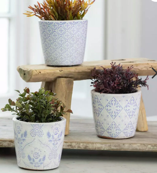 Mini Succulents, 3 Styles