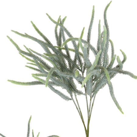Foxtail Green Spiky Fern Bunch of 5 Stems