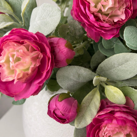 Pink ranunculus stem bunch
